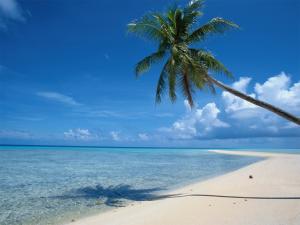 Fiji Luxury Tour